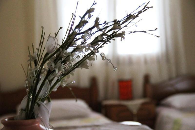 Stis Kyra - Vasilikis Apartment Ioannina Bagian luar foto